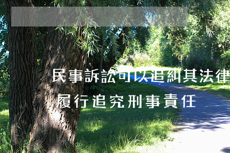民事訴訟可以追糾其法律責任嗎(民事訴訟不履行追究刑事責任)
