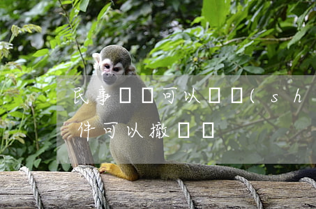 民事訴訟可以隨時(shí)撤訴嗎(民事案件可以撤訴嗎)