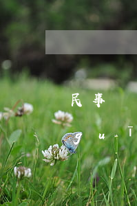 民事訴訟和非訴訟是什么意思（非訴訟的規(guī)定）