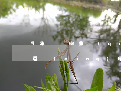 民事訴訟哪里請(qǐng)律師(民事訴訟要請(qǐng)律師么)