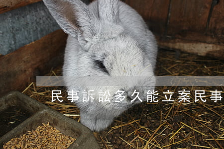 民事訴訟多久能立案(民事糾紛一般多久立案)