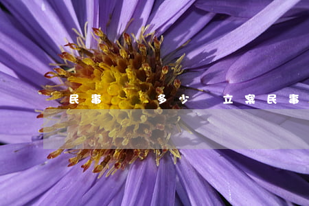 民事訴訟多少錢立案(民事訴訟一般多少錢)