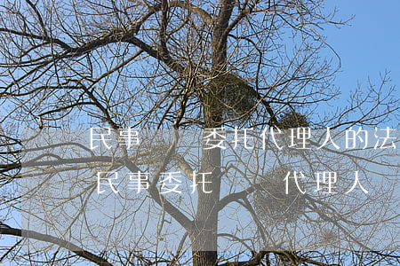 民事訴訟委托代理人的法律規(guī)定(民事委托訴訟代理人條件)