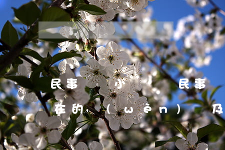 民事訴訟小額訴訟(民事訴訟小額訴訟程序存在的問(wèn)題及完善)