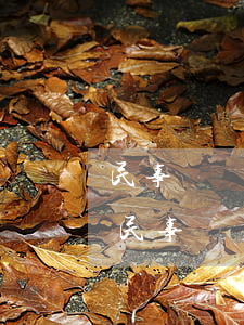 民事訴訟已經(jīng)立案可以撤訴嗎(民事訴訟原告可以隨時撤訴嗎)