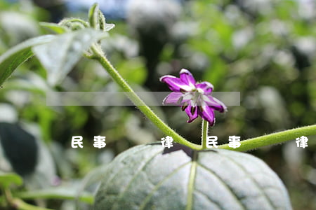 民事訴訟律師(民事訴訟律師)