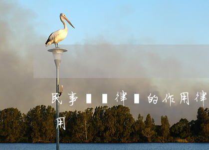 民事訴訟律師的作用(律師在民事訴訟中的作用)