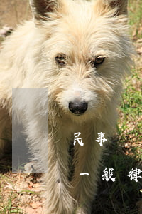 民事訴訟律師費(fèi)是多少(民事訴訟一般律師費(fèi)多少)