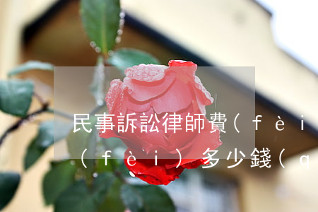 民事訴訟律師費(fèi)(民事訴訟律師費(fèi)多少錢(qián))