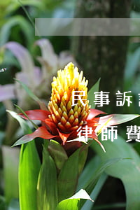 民事訴訟律師費用大概是多少(一般民事訴訟律師費用多少錢)