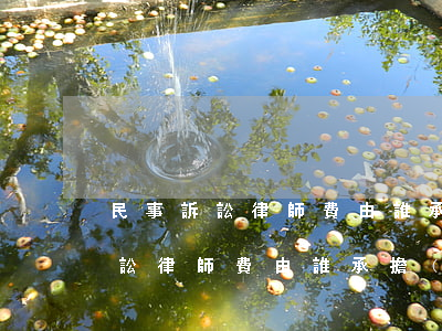 民事訴訟律師費由誰承擔(dān)(民事訴訟律師費由誰承擔(dān))