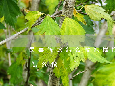 民事訴訟怎么做，怎樣提起民事訴訟（民事訴訟怎么做）