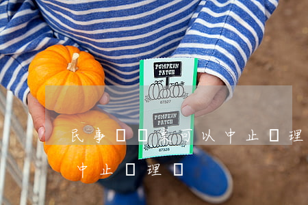 民事訴訟案可以中止審理嗎(民事訴訟案可以中止審理嗎)