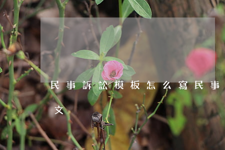 民事訴訟模板怎么寫(民事訴訟書模板 各類范文)