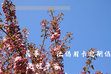 民事訴訟法信用卡逾期（信用卡逾期法院起訴流程平安）