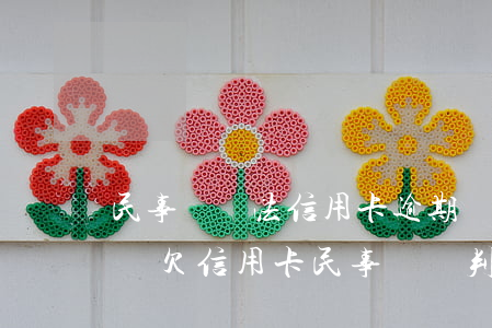 民事訴訟法信用卡逾期會(huì)坐牢嗎嗎(欠信用卡民事訴訟判決執(zhí)行)