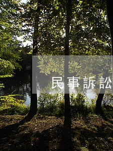 民事訴訟法可以搜家嗎(民事訴訟找誰)
