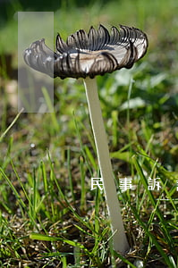 民事訴訟法無力償還(民事糾紛無力償還)
