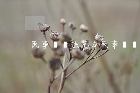 民事訴訟法范本(民事訴訟法條全文)