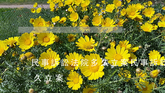 民事訴訟法院多久立案(民事訴訟提交法院多久立案)