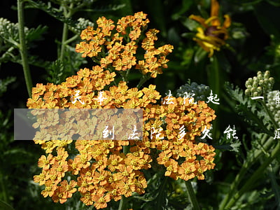 民事訴訟法院起訴一般多久開庭(民事糾紛起訴到法院多久能開庭)