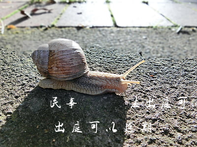 民事訴訟無法出庭可以延期嗎(民事訴訟無法出庭可以延期嗎)