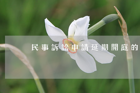 民事訴訟申請延期開庭的條件有哪些