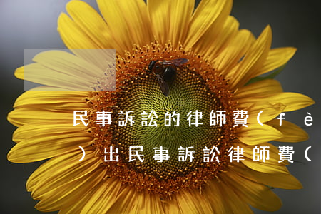 民事訴訟的律師費(fèi)誰(shuí)出(民事訴訟律師費(fèi)需要多少)