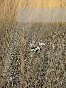 民事訴訟租房合同糾紛請律師多少錢