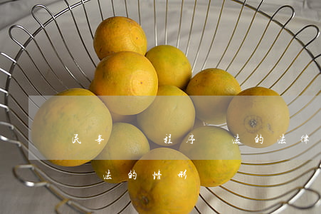 民事訴訟程序違法的法律處理(民事訴訟程序違法的情形)