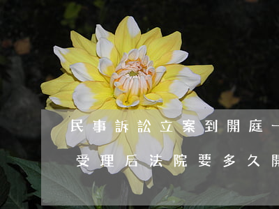民事訴訟立案到開庭一般多久(民事訴訟案件受理后法院要多久開庭)