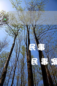 民事訴訟簡(jiǎn)易程序可以上訴嗎(民事案件簡(jiǎn)易程序可以上訴嗎)