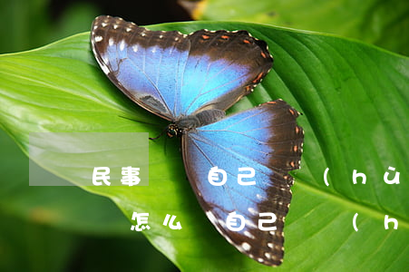 民事訴訟自己辯護(hù)注意什么(民事糾紛怎么為自己辯護(hù))