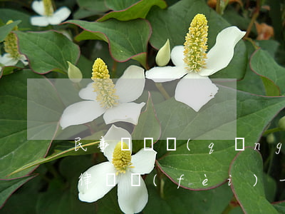民事訴訟請(qǐng)律師要多少錢(民事律師費(fèi)一般多少錢)