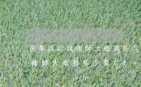 民事訴訟請律師大概要多少錢(民事訴訟案請律師大概要多少費(fèi)用)