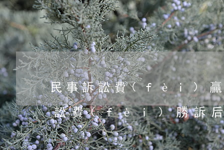 民事訴訟費(fèi)贏了可以退嗎(民事訴訟費(fèi)勝訴后退費(fèi)規(guī)定)