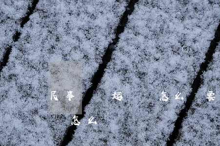 民事訴訟起訴狀怎么寫(要錢的民事訴訟起訴狀怎么寫)