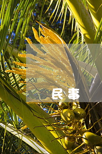 民事訴訟逾期未還如何訴訟
