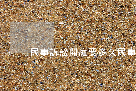 民事訴訟開庭要多久(民事糾紛一般多久開庭)