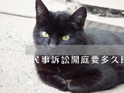 民事訴訟開庭要多久(民事訴訟要多久才開庭)