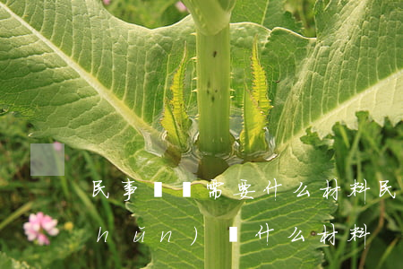 民事訴訟需要什么材料(民事訴訟需要準(zhǔn)備什么材料)
