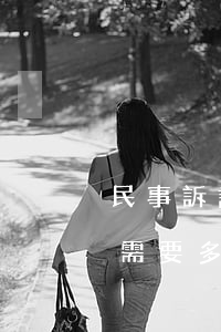 民事訴訟需要多少錢(qián)(民事訴訟需要多少錢(qián)民間借貸)