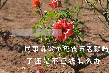 民事诉讼不还钱算老赖吗(被告人已经是老赖了,还是不还钱怎么办)