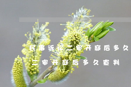 民事诉讼二审开庭后多久下判决书(民事诉讼二审开庭后多久宣判)