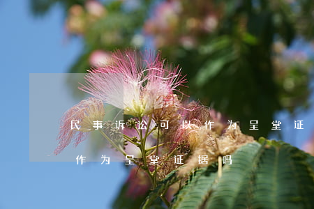 民事诉讼可以作为呈堂证据吗(民事诉讼可以作为呈堂证据吗)