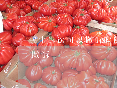 民事诉讼可以撤诉吗(民事诉讼什么时候可以撤诉)