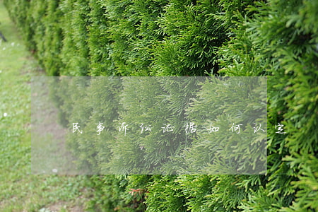 民事诉讼证据如何认定