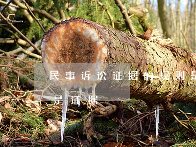 民事诉讼证据的规则是怎样的（民事诉讼哪些是证据）