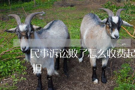 民事诉讼败了怎么收费(起诉败了费用怎么承担)