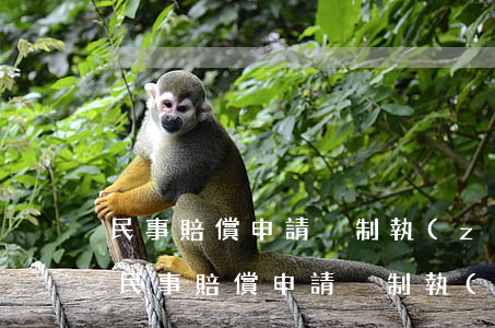 民事賠償申請強制執(zhí)行有期限嗎(民事賠償申請強制執(zhí)行有期限嗎)